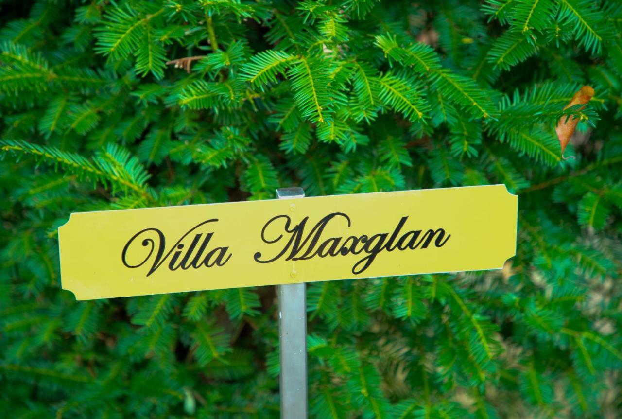 Villa Maxglan Salzburg Kültér fotó